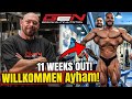 Neuer Sponsor Und 11 WEEKS OUT Ayham STARTET In Offenbach Neuer Sponsor Und 11 WEEKS OUT Ayham STARTET In Offenbach