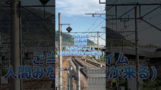 JR京都線島本駅　ご当地チャイム耐久　あなたは何周できる？#jr西日本 #ご当地チャイム　#人間みな兄弟