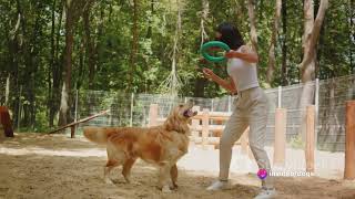 Famous Unlocking Your Dog's Hidden Potential: Revolutionary Training Secrets Revealed! Profile