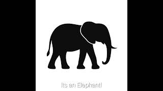 Learning Animals – Elephant Silhouette Sensory – 10 Minutes 🐘