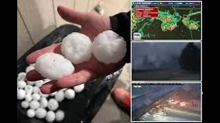Gorilla hail' to hit US