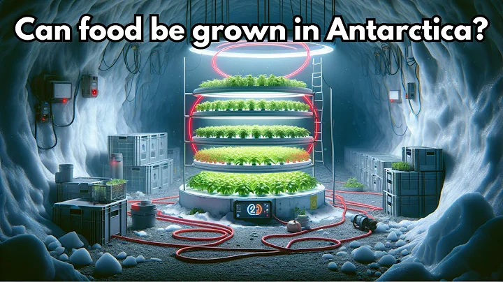 Do people grow food in Antarctica?