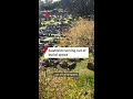 Australia running out of burial space