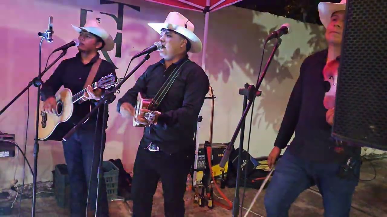 Bailando Huapangos huastecos 