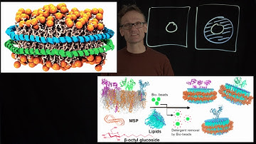 Concept 37: Lipid nanodiscs