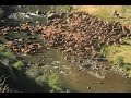 Tiempo de Arreo en Patagonia