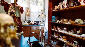 A slice of life inside the Human Anatomy Lab at Cal Poly