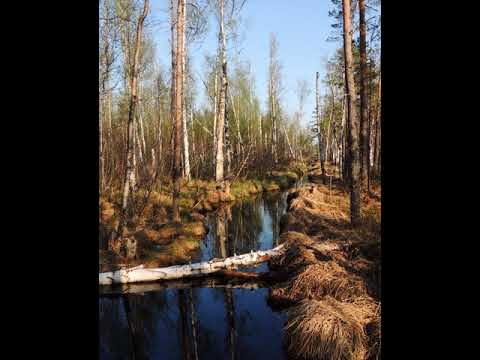 Video: Rdeisky Nature Reserve: historia, picha na maelezo