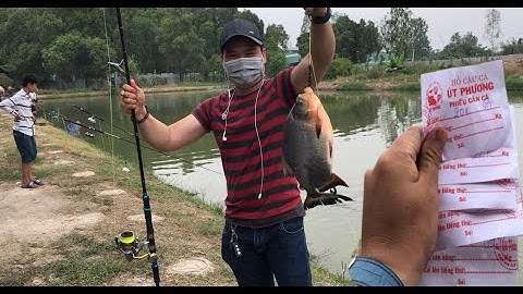 Câu giải cá chim | Mồi câu cá chim cực kỳ đơn giản | Thẻo câu cá chim | Thích trải nghiệm channel