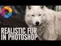 How to create realistic fur in Photoshop