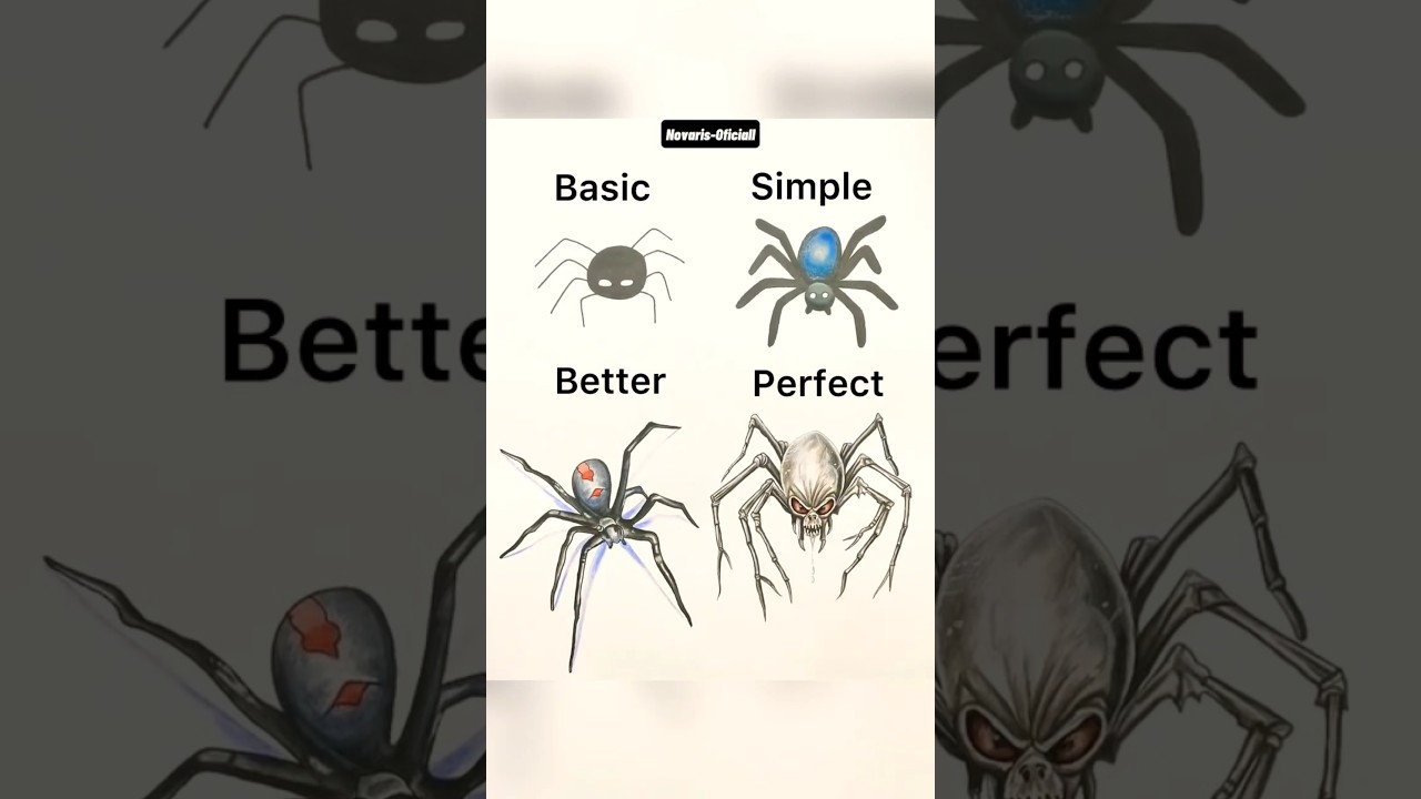 How To Draw a Spider Basic Vs Perfect 