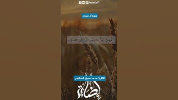 الصوت الباكي محمد صديق المنشاوي  #قرآن_كريم #المصحف #تيك_توك #اضاءة #اكسبلور #تلاوة_خاشعة