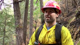 Assessing the Damage, After a Fire