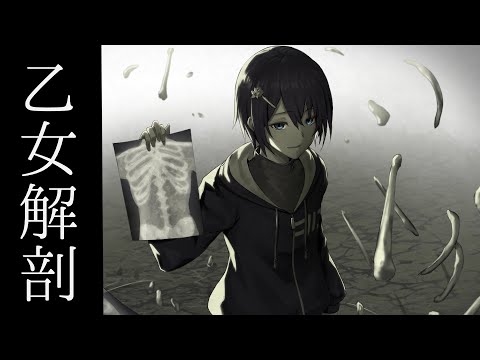 乙女解剖/畑野御芋【歌ってみた】