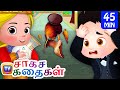 அரசரின் ஜாடிகள் (Arasarin Jaadigal - The King&#39;s Vases) - சாகச கதைகள் தொகுப்பு - ChuChu TV