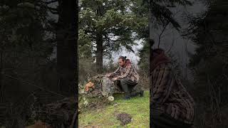 Reclaimed..🪾Even dead wood still serves. #solobushcraft #camping #survival