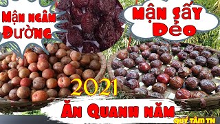 Top 10 cách làm mận hậu sấy khô hay nhất năm 2022