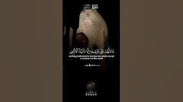 - تلاوة خاشعة للشيخ سمير عومر من سورة سبأ ﴿ فلما قضينا عليه الموت ﴾🌹