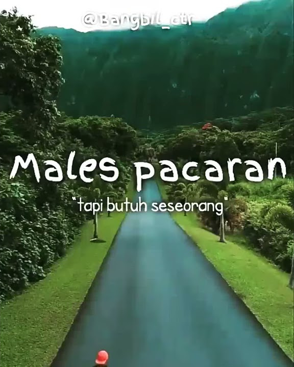 Status wa terbaru sedih, sendiri itu sepi 😔🍃
