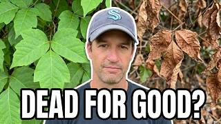 Dad Tests Bonide Poison Oak & Ivy Killer
