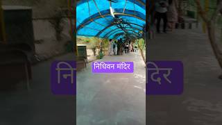 नधवन मदर दवन Mandir Darshan Vrindavan