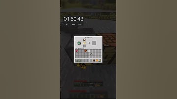 DAY 9 - Speedrunning Random Items and Blocks in Minecraft!!!