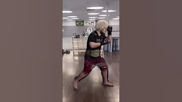 Mighty Mouse PERFECTLY Impersonates UFC Fighter Stances Shorts 
