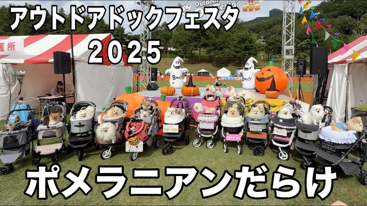 アウトドアドックフェスタに行ったらポメラニアンだらけになりました