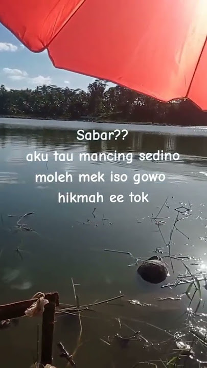 story wa mancing 30 detik #hobimancing #mancing #setatuswa30detik #ll #shorts #shortvideo #trending