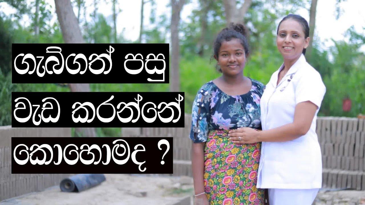 Midwife lk - ගැබ්ගත් පසු වැඩ කරන්නේ කොහොමද ? | working during Pregnancy