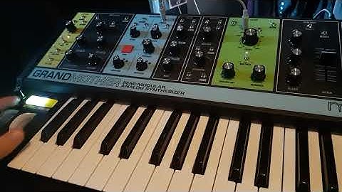 Moog Grandmother Riff Sequence