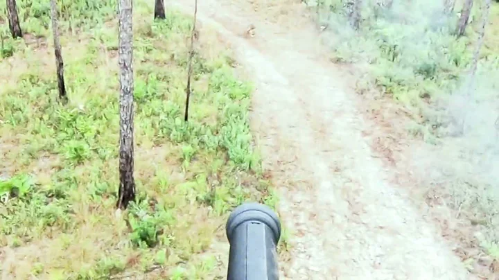 457 Airforce texan 300gr HP versus Coyote