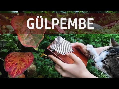 Barış Manço - Gülpembe ( Kalimba )