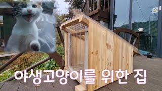 [냥스토리]계속 변신중인 아기고양이들을 위한 집|이번 겨울 우리 잘 버티자