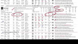 Belmont Stakes 2023: Race 11 Betting Insights & Steve-O's Top Picks