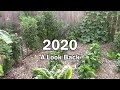 Garden Time Lapse - A Look Back At The A Full Year In Our Garden