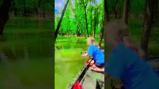 #mississippi #bluecatfish #catfish #fishing #foryoupage #trotline #highwater #catfishpro #catfish