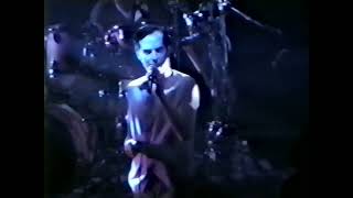 Peter Murphy, Wild Birds tour, live 1995