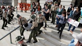 How effective are the 'Not My Presidents Day' protests