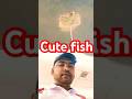 catching small fish 🐟 #fish #fishing #mancing #ikan #ikanhias #viral #video #shrots #video #thanks