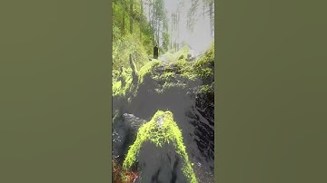 تلاوات مختارة / (يَا عِبَادِيَ الَّذِينَ آمَنُوا إِنَّ أَرْضِي وَاسِعَةٌ ..)