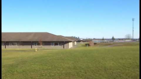 Trex 450 Flying & Backflip attempts