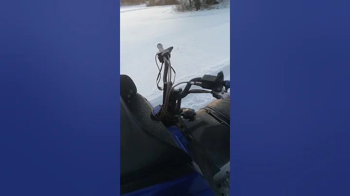 yamaha sx700