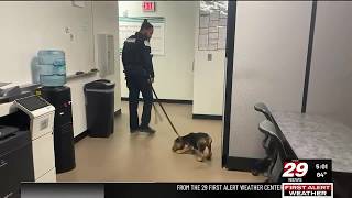 Charlottesville police K-9 Unit dog found deceased in police car