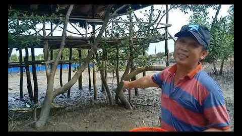 Vlog một ngày 4 Đực/ Bắt sò huyết thiên nhiên, chế biến hàu - LONG SƠN VŨNG TÀU