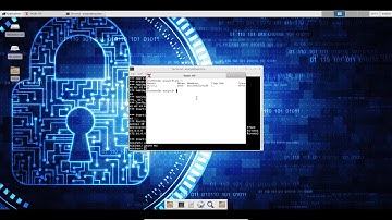 Using Wireshark to Examine Ethernet Frames