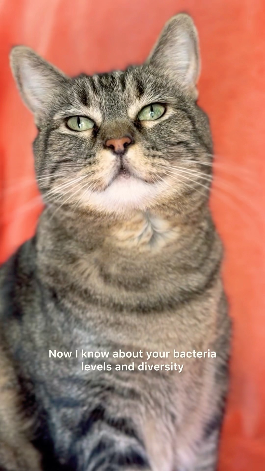 #ad Happy gut=Happy Penny! Thanks to the ​⁠@Petivity Microbiome Analysis Kit! #PetivityPartner ​⁠