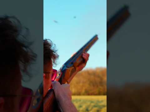 French Partridge Shoot - Full Members Video Live now