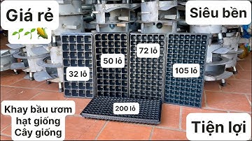 Khay bầu ươm cây giống đủ kích thước, nhựa đen cứng siêu bền, nâng cao năng xuất 0869593886 🌱🌱🌱