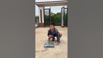 Cậu Bé Thông Minh | Không Làm Mà Vẫn Có Ăn - Tippi TV